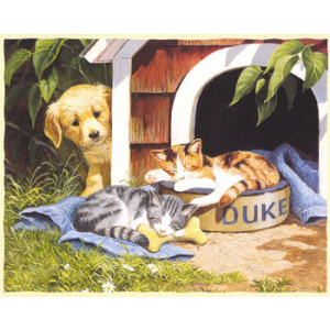 Puppy and Kittens Greeting Card Persis Clayton Weirs