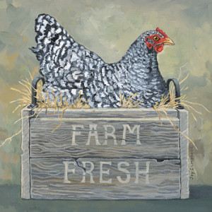 Chicken Farm Fresh 12 x 12 Print