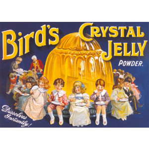 Birds Crystal Jelly Nostalgic Postcard