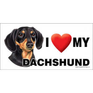 I Love My Dachshund Dog Fridge Office Fun Magnet