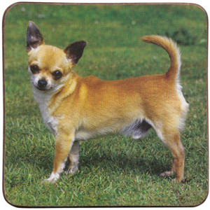 Chihuahua Dog Cork Backed Drink Coaster 