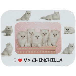Chinchilla Cat Magnetic Photo Frame