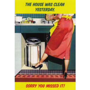The House Was Clean Yesterday, Sorry You Missed It Happy Birthday Retro Card  
