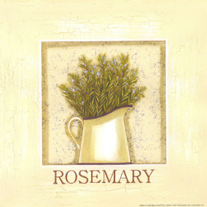Rosemary Herb 8 x 8 Print