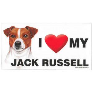 I Love My Jack Russell Dog Fridge Office Fun Magnet