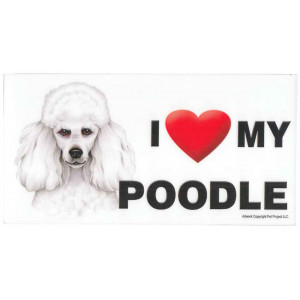 I Love My White Poodle Dog Fridge Office Fun Magnet