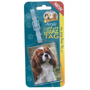 Brown Cavalier Dog Acrylic Suitcase Travel Luggage Tag 