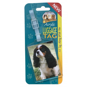 Tricolour Cavalier Dog Acrylic Suitcase Travel Luggage Tag 