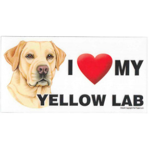 I Love My Yellow Labrador Dog Fridge Office Fun Magnet