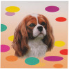 Cavalier Blenheim Brown Pet Dog Magnetic Notepad 