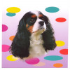 Cavalier Tricolour Dog Magnetic Notepad 