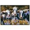 doormat-dairy-queen-cows