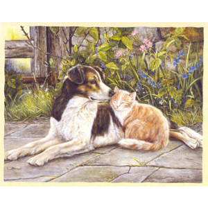 Dog and Cat Greeting Card by Shirley Deaville