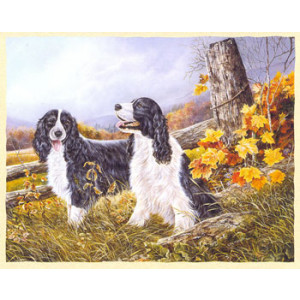 Cocker Spaniel Dogs Greeting Card by Shirley Deaville