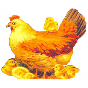 Hen & Chickens Callard & Bowser Postcard