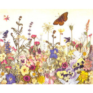 Flowers and Butterflies Greeting Card by Cheryl Welch