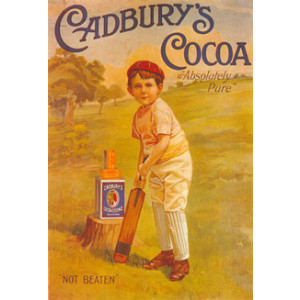 Cadburys Cocoa Cricket Boy Nostalgic Postcard