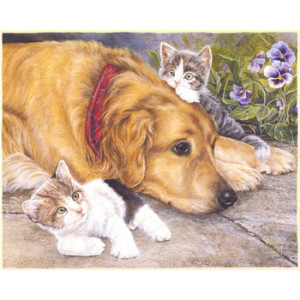 Dog and Kittens Greeting Card by Shirley Deaville