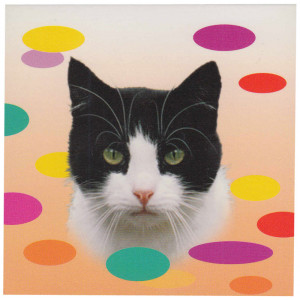 Black and White Cat Magnetic Notepad 
