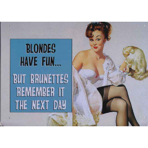 Blondes Have Fun But Brunettes Remember It The Next Day Retro Steel Sign