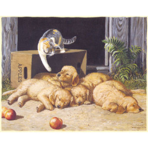 Kitten and Puppies Greeting Card by Persis Clayton Weirs