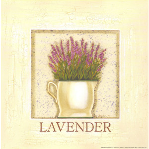 Lavender Herb 8 x 8 Print