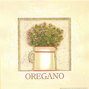 Oregano Herb 8 x 8 Print