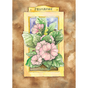 Primrose Flowers Design 5 x 7 Print