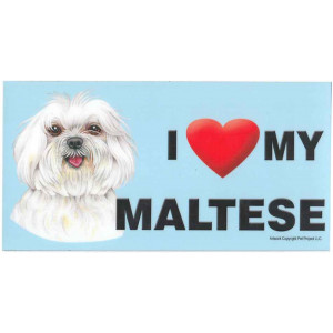 I Love My Maltese Dog Fridge Office Fun Magnet