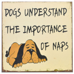 Dogs Understand The Importance of Naps Rustic Tin Sign