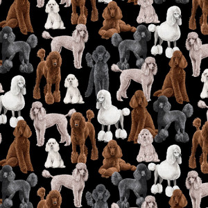 Poodles Dogs on Black Quilting Fabric