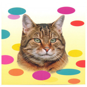 Tabby Cat Magnetic Notepad 