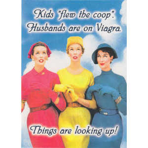 Kids Flew the Coop Husbands are on Viagra Retro Greeting Card  