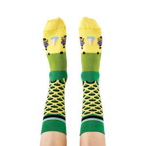 Green Budgie Budgerigar Aussie Bird Socks