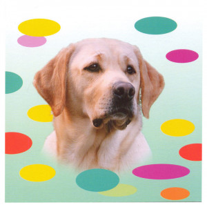 Yellow Labrador Dog Magnetic Notepad 