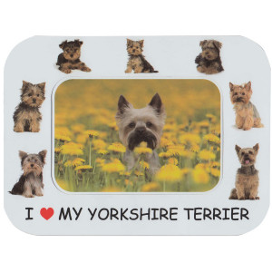Yorkshire Dog Terrier Frame